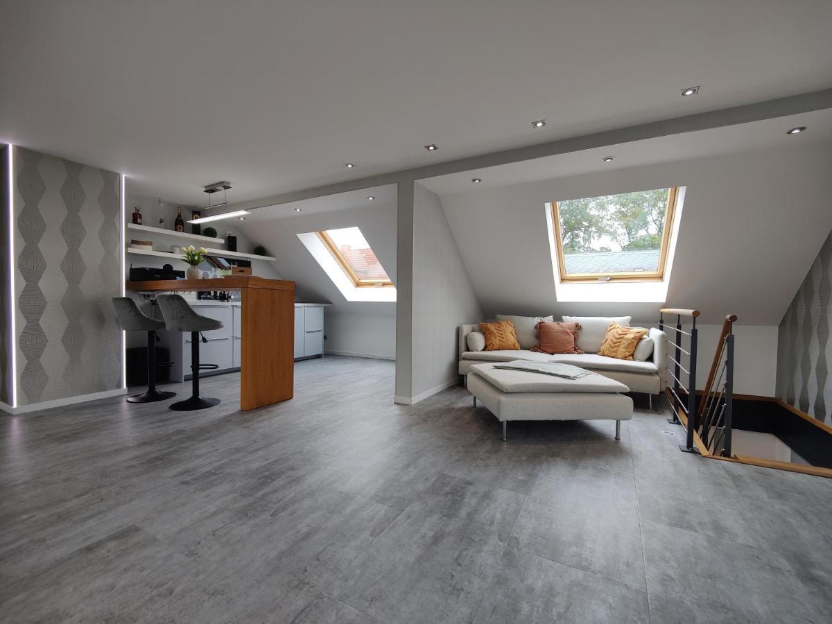 Ferienhaus Villa Adelsberg Mit Dachterrasse In Zentraler Lage Fuer Bis Zu 10 Personen Chemnitz Exterior photo