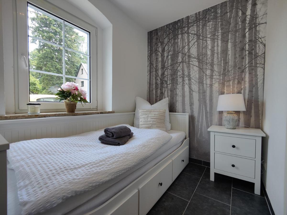 Ferienhaus Villa Adelsberg Mit Dachterrasse In Zentraler Lage Fuer Bis Zu 10 Personen Chemnitz Exterior photo