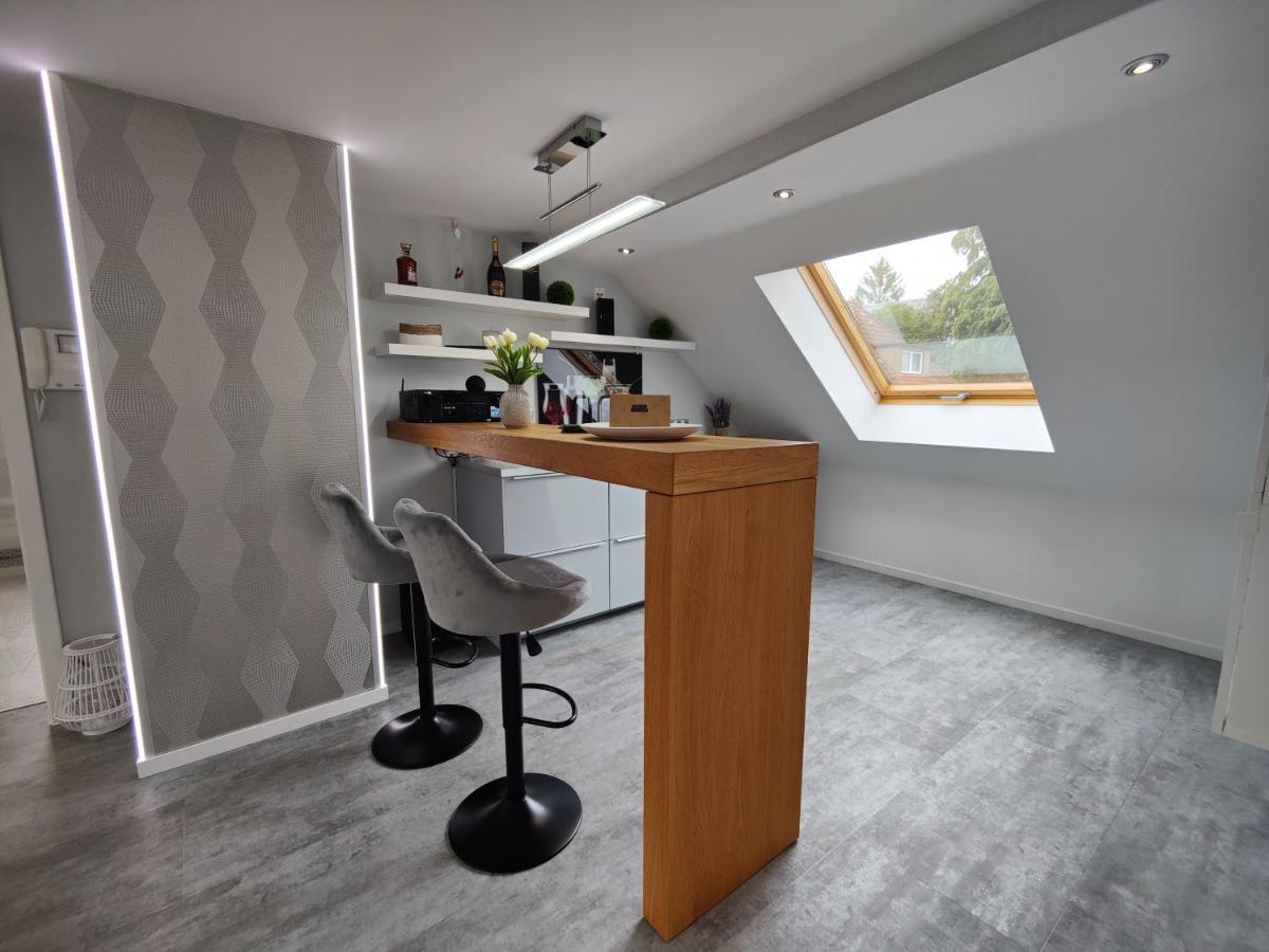 Ferienhaus Villa Adelsberg Mit Dachterrasse In Zentraler Lage Fuer Bis Zu 10 Personen Chemnitz Exterior photo