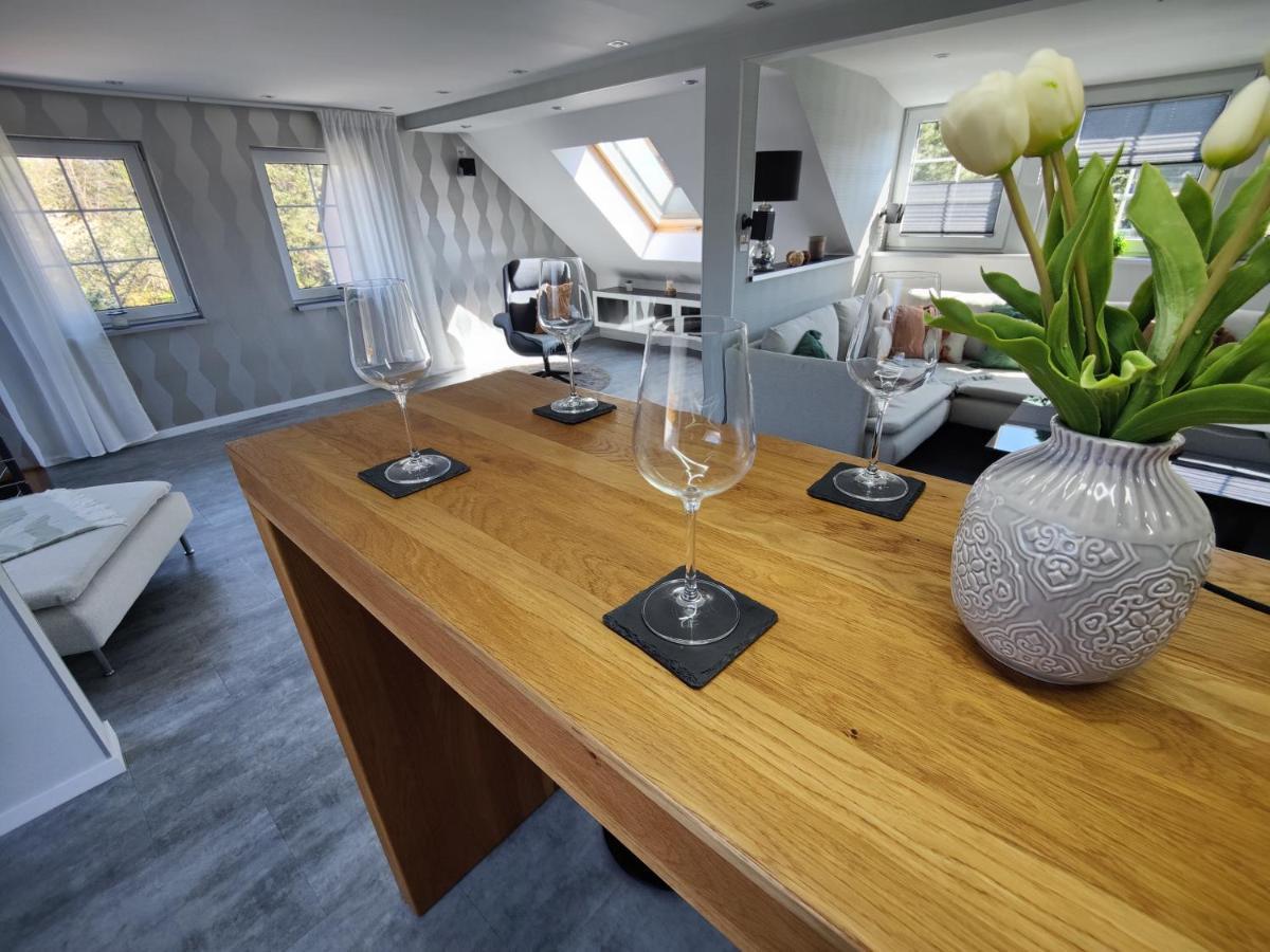 Ferienhaus Villa Adelsberg Mit Dachterrasse In Zentraler Lage Fuer Bis Zu 10 Personen Chemnitz Exterior photo