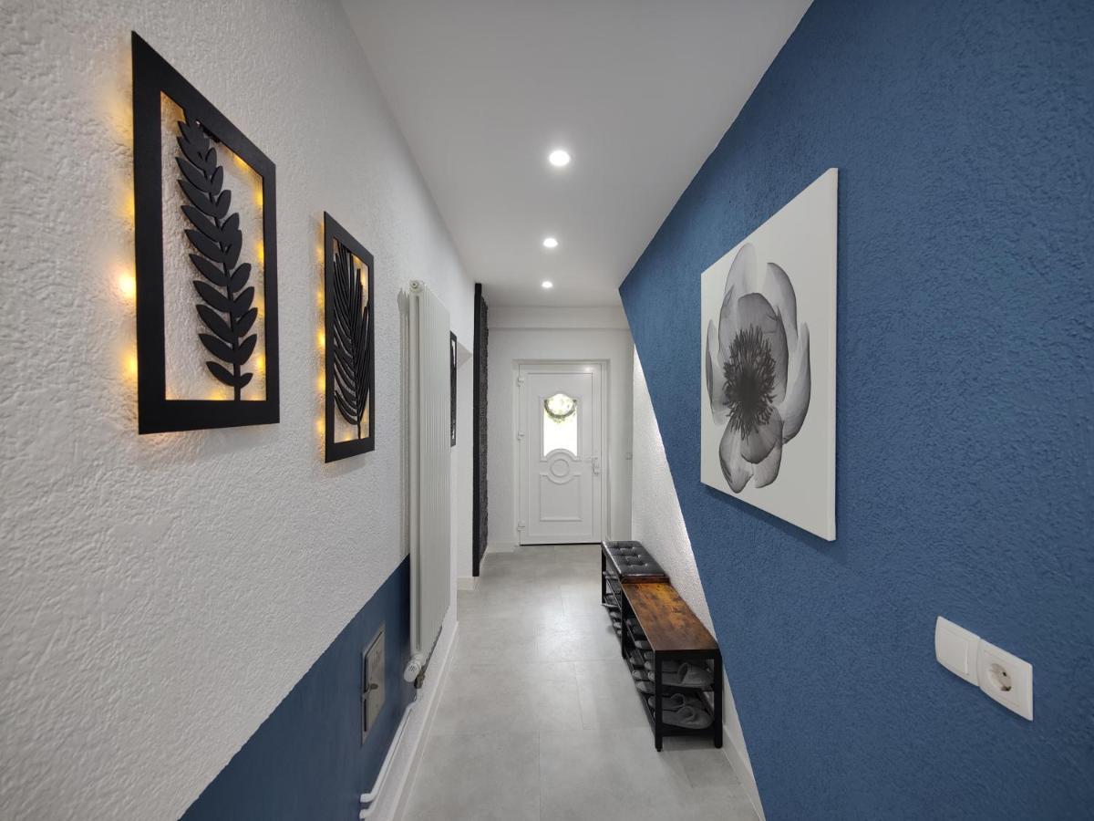 Ferienhaus Villa Adelsberg Mit Dachterrasse In Zentraler Lage Fuer Bis Zu 10 Personen Chemnitz Exterior photo